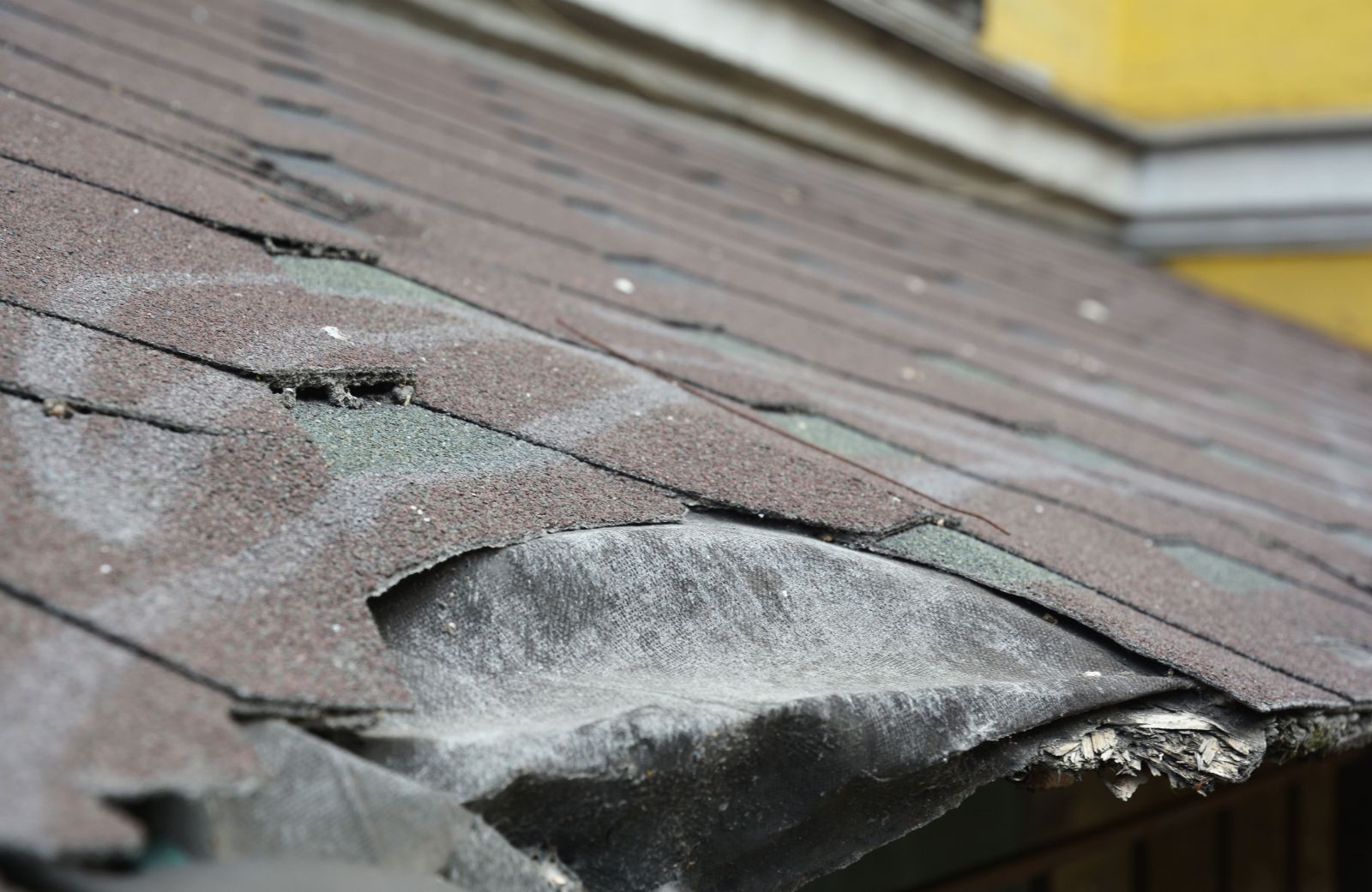 King Roofing General Contracting Images