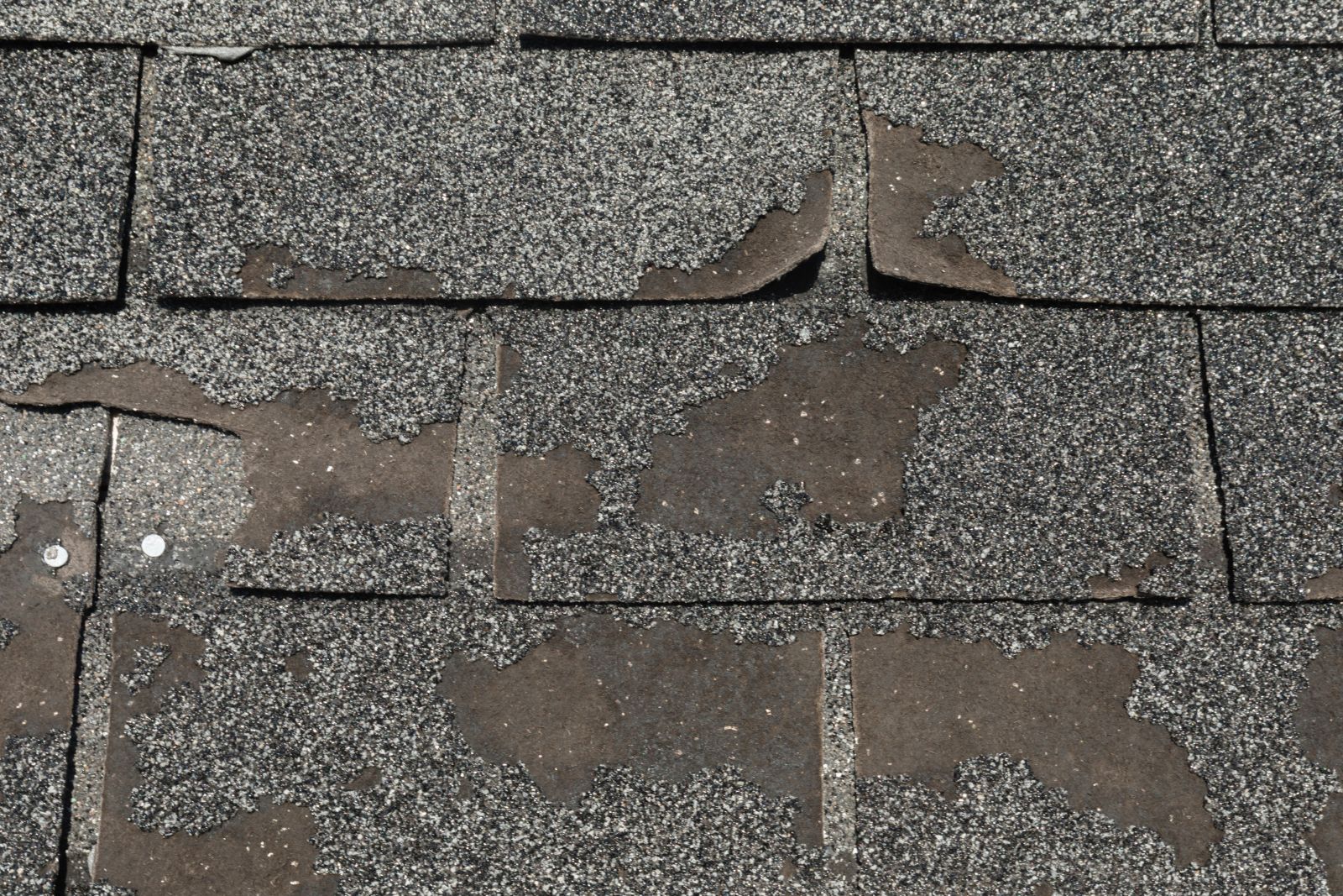 King Roofing General Contracting Images
